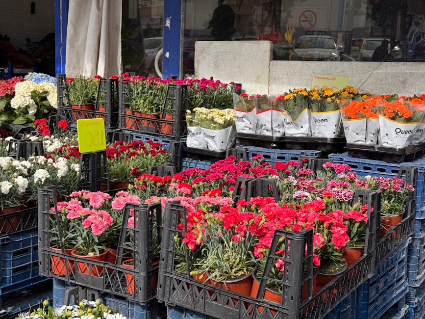 An outdoor display of various potted flowering plants arranged in black plastic crates outside a florist shop, featuring pink, red, white, yellow, and orange blooms, including carnations, daisies, and